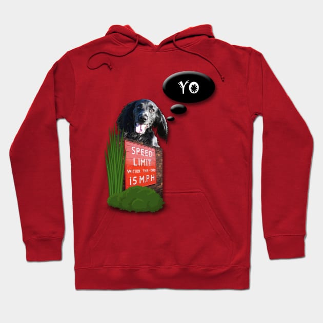 Funny black working cocker spaniel dog zoomies Hoodie by ownedandloved